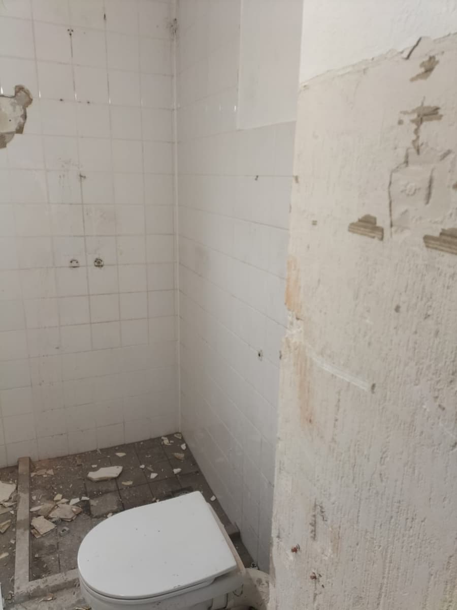 Het oude toilet voor de sloop